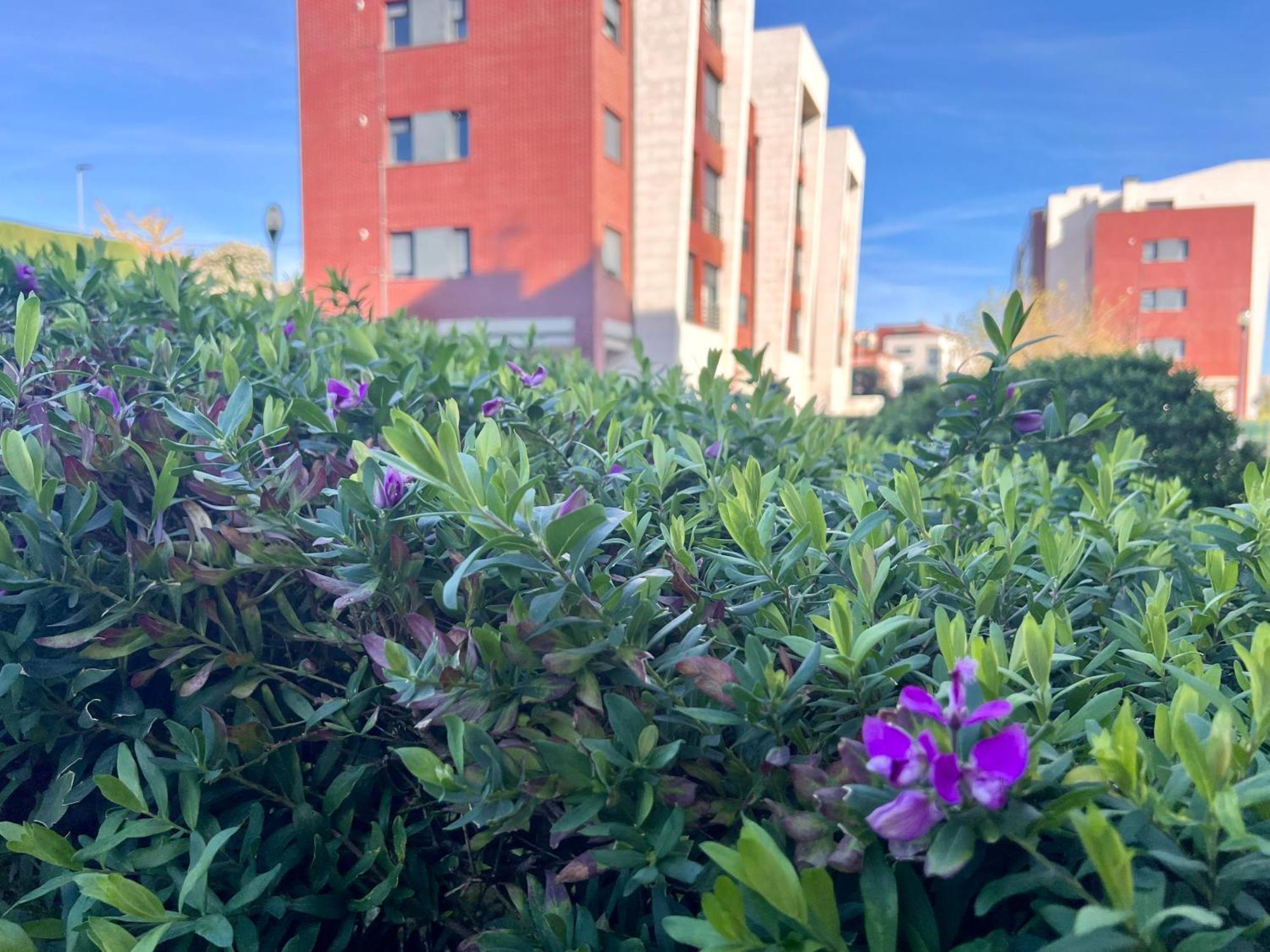 Apartamento Olmeca Santander Exteriér fotografie
